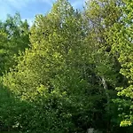 Le Chant De L'egue Tatil Evi *