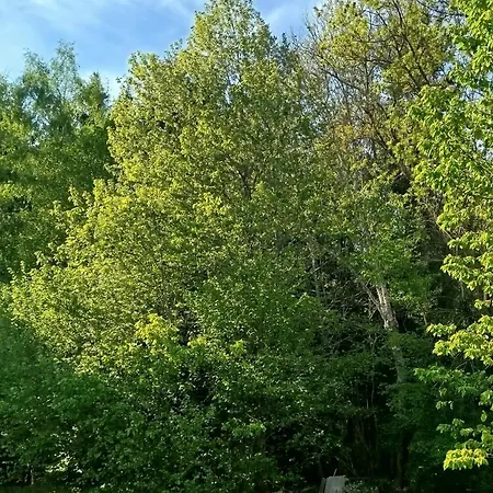 Le Chant De L'egue Holiday home *